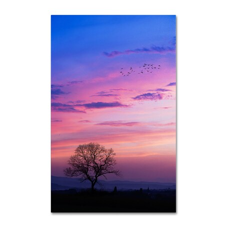 Trademark Fine Art Philippe Sainte-Laudy 'A Kind of Dream' Canvas Art, 12x19 PSL0336-C1219GG